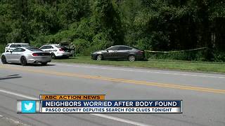 Body found in Wesley Chapel