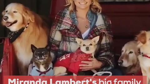 Country Stars and Their Rescue Pets
