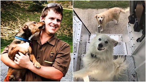 UPS driver created a Facebook Group about Dogs he meets on Routes with interested stories & photos
