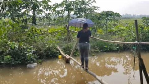 Young woman tries to cross "monkey bridge" over a river