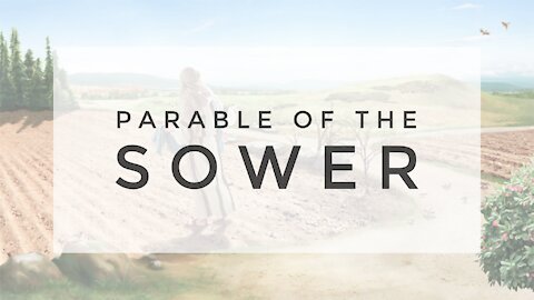 8.19.20 Wednesday Lesson - THE PARABLE OF THE SOWER