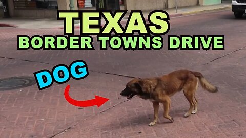 TEXAS Border Towns: A HUNGRY DOG Roams Boarded Up Downtown Laredo / San Ygnacio to Laredo (Part Two)