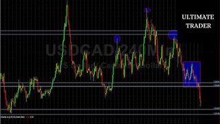Forex Trading Technical Analysis - Forex Signals