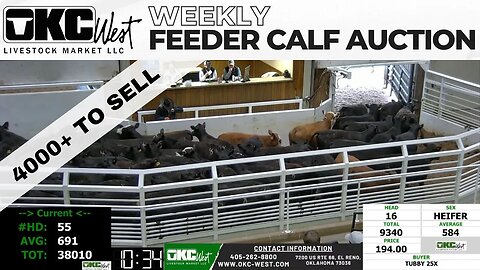 3/22/2023 - OKC West Feeder Calf Auction