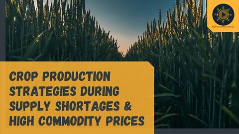 Focusing on the Details - Crop production strategies during supply shortages & high commodity prices