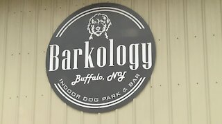 Indoor/outdoor dog park & bar to open in Cheektowaga