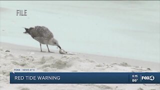 Red Tide warnings issued for areas of Lee County