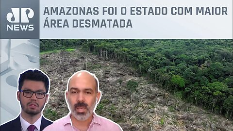 Desmatamento na Amazônia triplica em março, aponta Imazon; Kobayashi e Schelp analisam