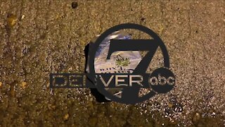 Denver7 News at 6PM Monday, June 28, 2021