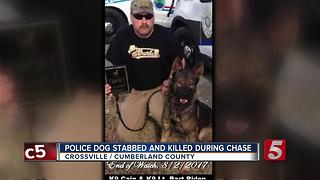 Crossville K9 Killed While Chasing Suspect