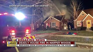 Firefighters find marijuana grow operation while battling deadly fire in Harper Woods