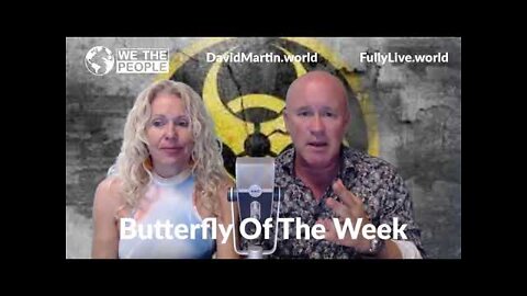 Butterfly of the Week ! Must watch Video