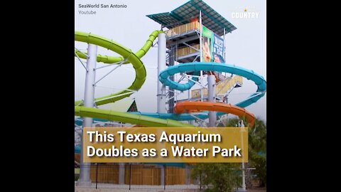 This Texas Aquarium Doubles as a Thrilling Water Ride