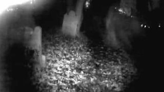 Acchiappafantasmi filma una strana presenza in un cimitero inglese