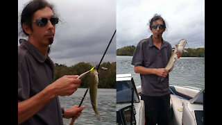 Early Fall Fishing at Blue Marsh Lake