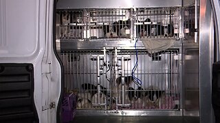 Dozens of Animals Seized in Mountain Home