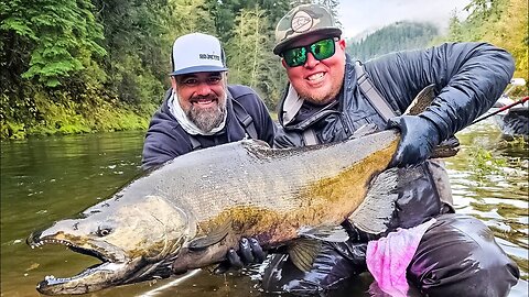 The BIGGEST KING SALMON we’ve EVER seen!