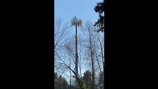 5G tower Kirkland, Washington