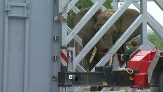 Louie the elephant arrives at Omaha's Doorly Zoo