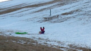 Carolyn's Sledding Tumble