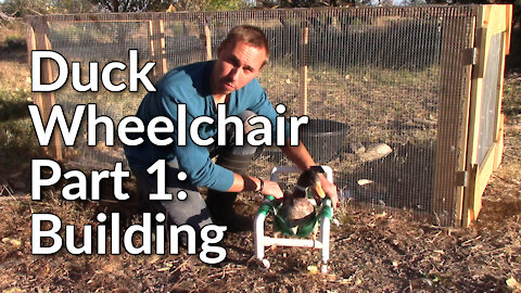 Building a Duck Wheelchair - Part 1: Building