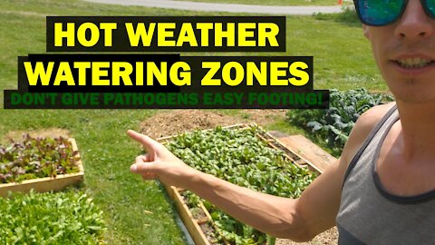 Create Summer Watering Zones to Ward Off Pathogens in the Garden