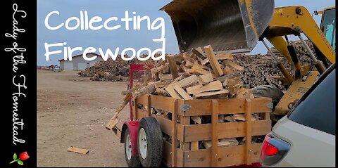 Loading Up With Wood From The Lumberjack Place