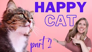 How To Raise A Happy Healthy Cat | Happy Cat Month September 2021 | Part 2