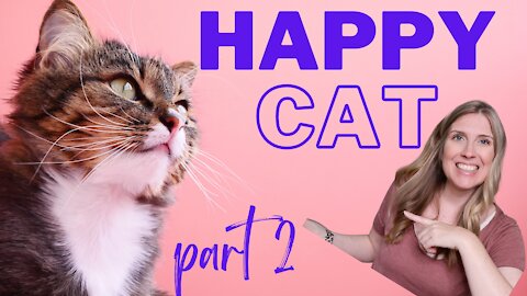 How To Raise A Happy Healthy Cat | Happy Cat Month September 2021 | Part 2
