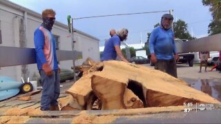 Local wood craftsman seeks to transform downed Banyan tree after its controversial removal