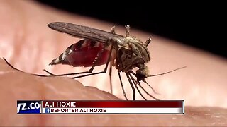 2 recent deaths from mosquito-borne disease reported in Michigan