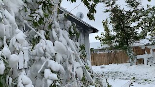 Labor Day Blizzard in Wyoming