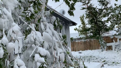 Labor Day Blizzard in Wyoming