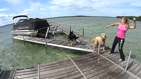 German Shepherd Slow-Motion Dock Jump at Higgins Lake