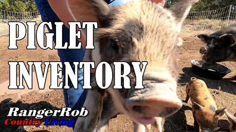 Idaho Pasture Piglet Inventory