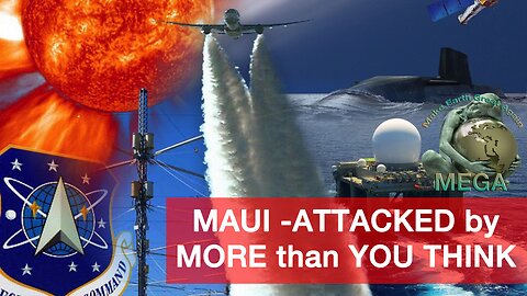 MAUI -ATTACKED by MORE than YOU THINK /w Deborah Tavares StopTheCrime.net 2023 08 25