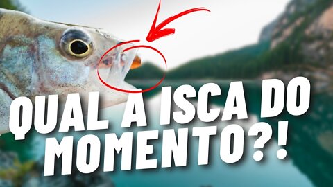 the gabiis pescaria - 🔴 A ISCA DO MOMENTO!!! A MELHOR ANTENINHA DE PESCA DE TODOS OS TEMPOS