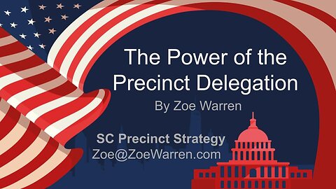 The Power of the Precinct Delegation - SC Precinct ReOrg Strategy