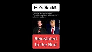 Elon Musk reinstates Donald Trump to Twitter