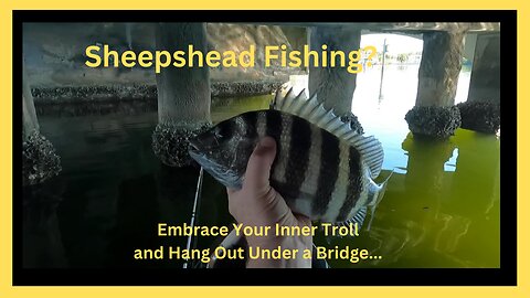 Sheepshead Fishing from Kayak - Embrace your Inner Troll!