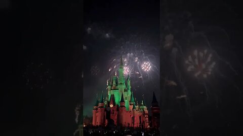 Disney's 4th of July!