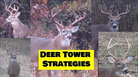A deer tower & food plot. How hard can it be? Advanced deer strategies to consider