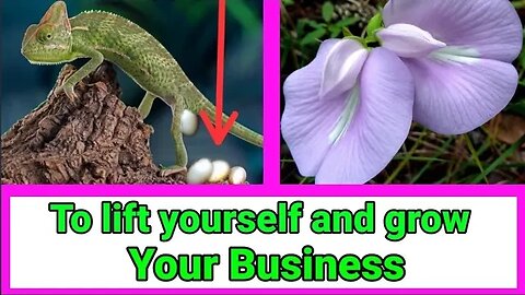 TO LIFT YOURSELF AND GROW YOUR BUSINESS | Heal Yourself GH | Heal Yourself Herbal. #subscribe #like