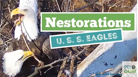 USS Eagles - Nest Restoration