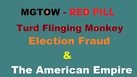 Turd Flinging Monkey on ELECTION FRAUD, VOTING, and the AMERICAN EMPIRE (MGTOW)