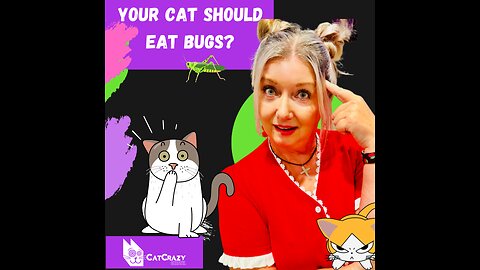 Bugs for your Cat?