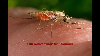 Obligatory Pesticide Spraying In NYC, GM Mosquitoes & Flying Vaccinators - Are They All Connected?