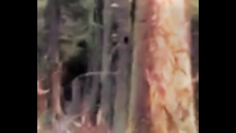 World Bigfoot Radio ~ #126 THE SASQUATCH who HAUNT MOUNT SENTINEL II/ Duke and team