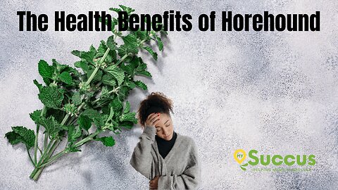 The Health Benefits of Horehound