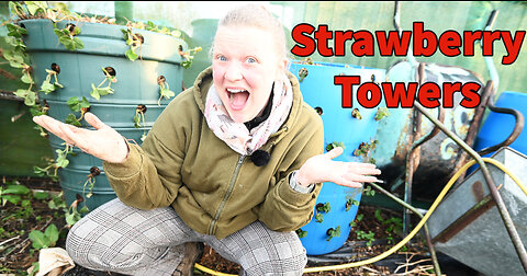 Grow Juicy Strawberries in a Tower: April Planting Tips for Your Allotment Garden